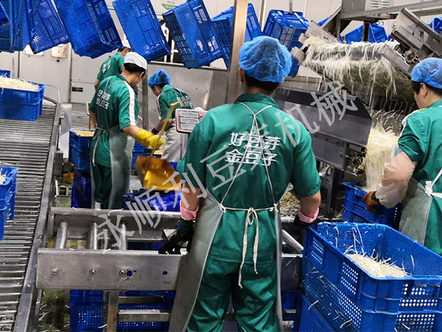 金豆子蔬菜食品有限公司某總?cè)债a(chǎn)200噸全自動豆芽菜設(shè)備